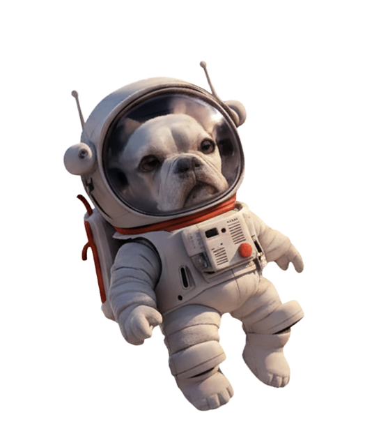 Astronaut Dog